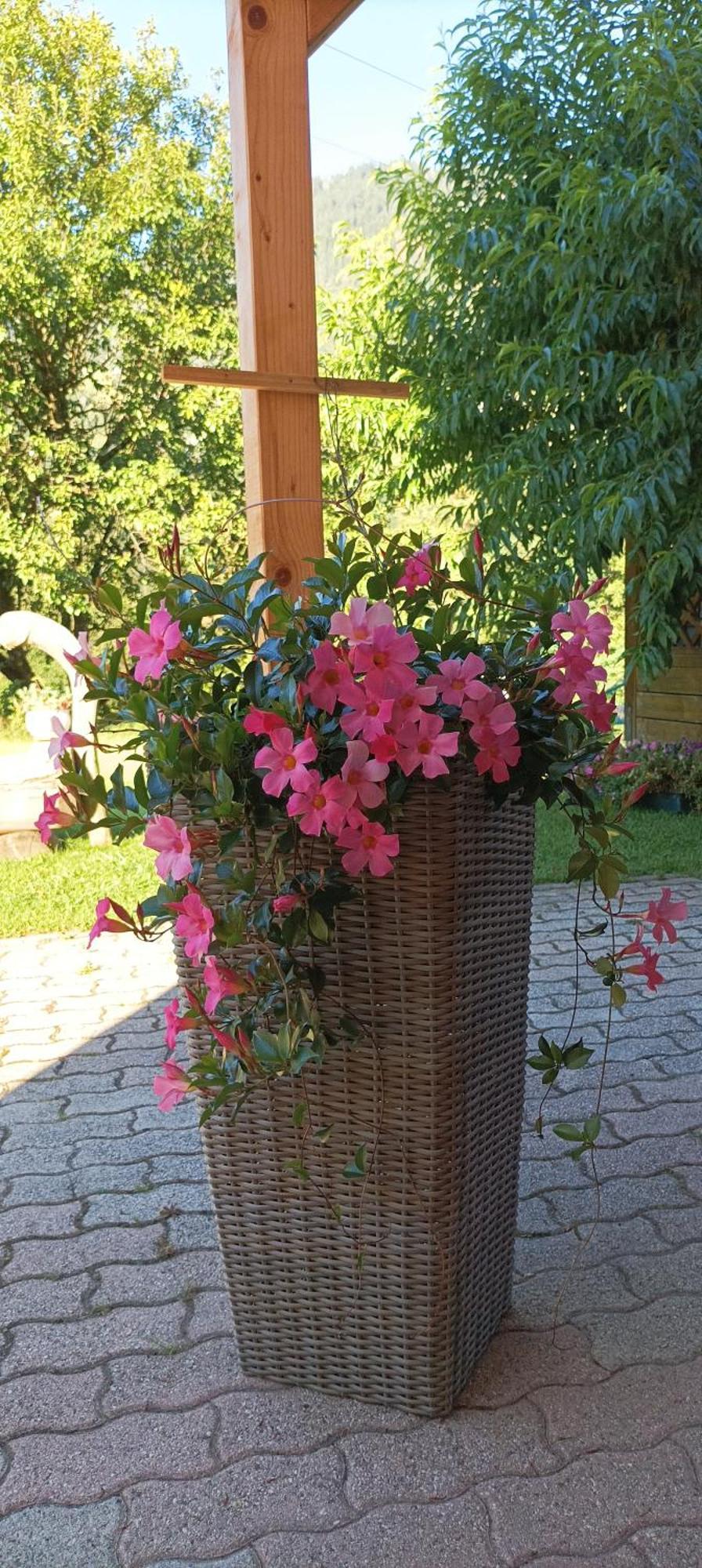 Apartment Relax Natura Canal San Bovo Dış mekan fotoğraf